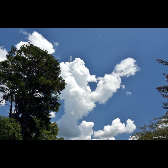 Meet your Posher, Tracey - Picture 1 of 1